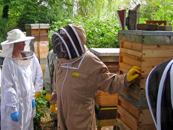 Steve Leveridge, education officer of the Barnet District Beekeepers Association, showing potential new recruits one of the hives