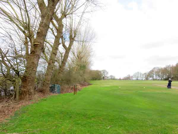 The Popular trees seen from the golf course