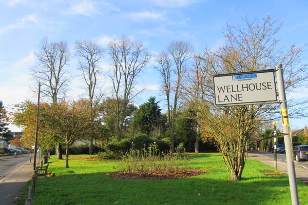 Whalebones Park from the junction of Wood Street and Wellhouse Lane