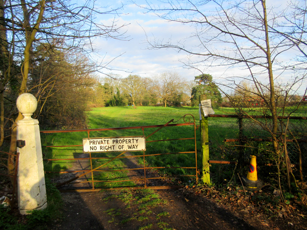 A tree preservation order protects 57 of the trees in Whalebones park and farmland 