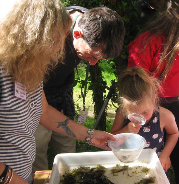 Environment centre pondlife under examination