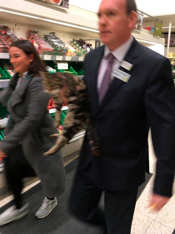 Gemma Wilkinson’s snap of Millie being ushered out of Waitrose is a hit on the Next Door Barnet community website