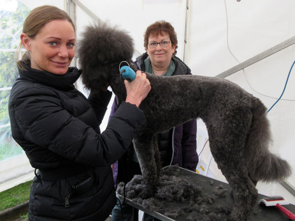 Dog groomer Jessica Allegri gets to work grooming Ivy as Lesley Graham, head of careers at the Pavilion School, looks on