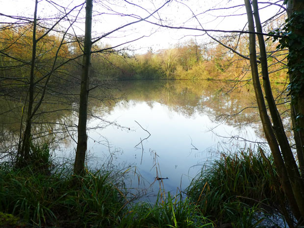 Darlands Lake