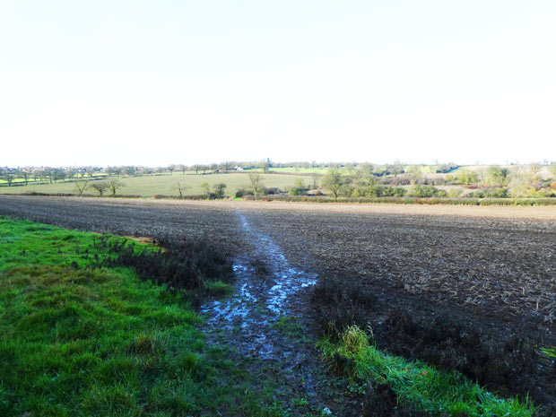 Footpath across field