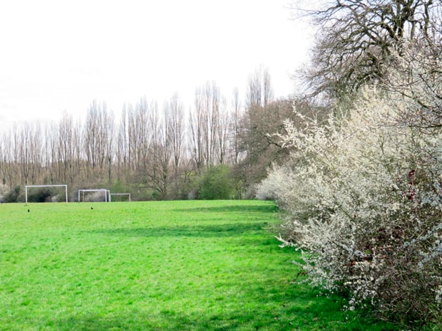 King George V Playing Field in spring (looking E)