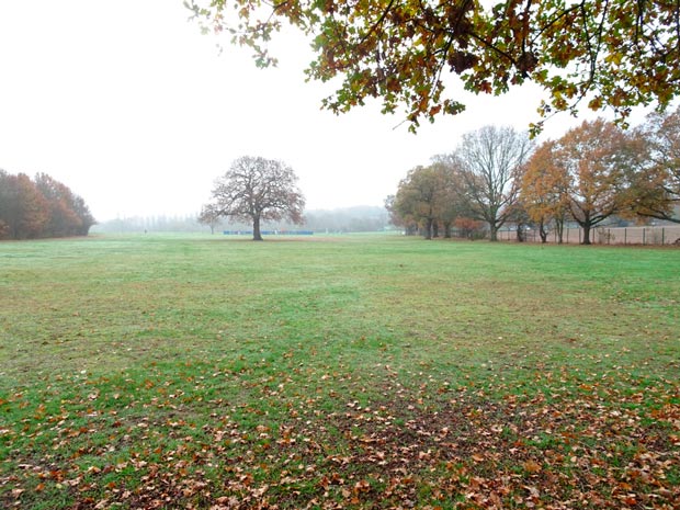 Barnet Playing Fields (looking S). The new skate/BMX park would occupy the foreground, and trees on the right would be felled for the 66-place car park.