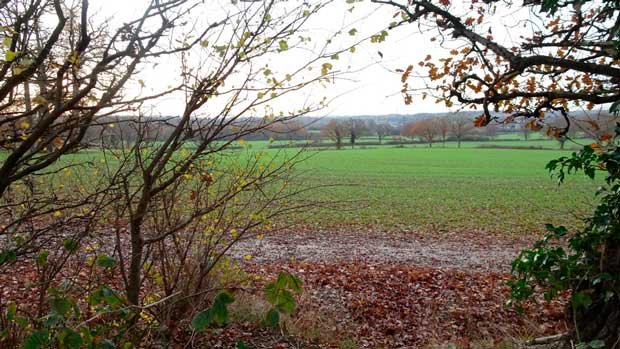 View south-east across the Green Belt from Potters Bar