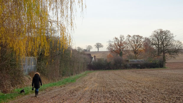 The southern edge of Potters Bar (houses on the left, Green Belt on the right)