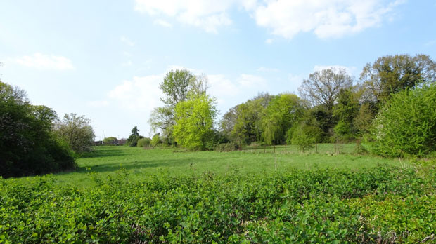 Existing meadow between Whalebones house and Elmbank looking south to the Dollis Valley Green Belt. This long view would be lost.